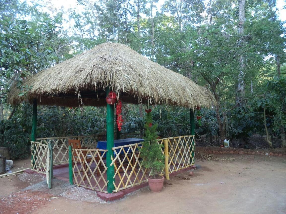 Dreams Home Estate Stay Suntikoppa Exterior foto